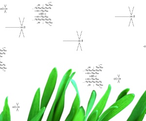 ascii ascii