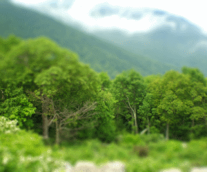 Tilt-Shift Photography for the Poor and Lazy