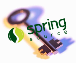 spring_security spring_security
