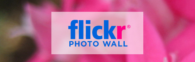 Flickr Photo Wall